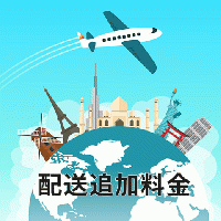 追加送料(EMSアメリカ)