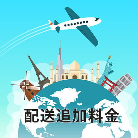 追加送料(EMSアメリカ)